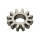 Zeigerstellrad *alternativ*