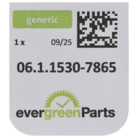 Unruhwelle (Spiralrollenansatz Ø 0,43 mm) *alternativ*