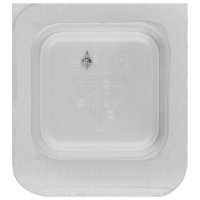 Unruhwelle (Spiralrollenansatz Ø 0,43 mm) *alternativ*