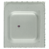 Steinfutter für Unruh (Werkplatte) *alternativ*