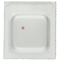 Jewel for driving wheel for ratchet wheel (Train wheel bridge) *generic*