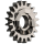 Winding pinion *generic*