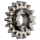 Winding pinion *generic*
