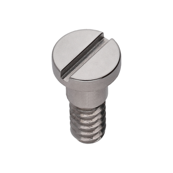 Screw for barrel bridge (long) *generic*