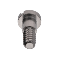 Screw for barrel bridge (long) *generic*