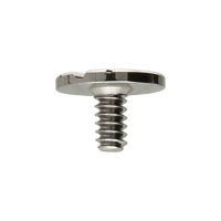 Screw for Day wheel *generic*