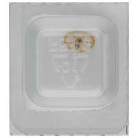 Great wheel *generic*