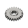 Pinion for oscillation weight *generic*