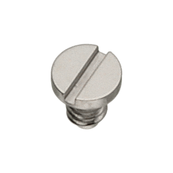 Screw for bridle for balance stop spring *generic*