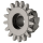 Winding pinion *generic*