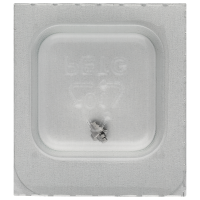 Federkern *alternativ*