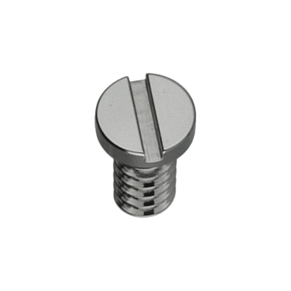 Screw for train wheel bridge *generic*