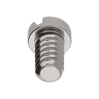 Screw for oscillating weight *generic*