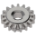 Aufzugtrieb / Kupplungsrad *alternativ*