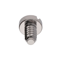 Screw for oscillating weight *generic*