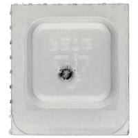 Kupplungrad *alternativ*