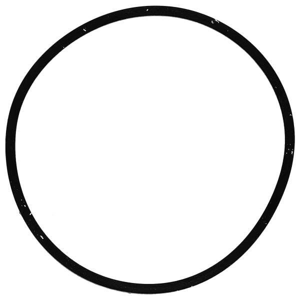 Gasket for caseback  flat *generic*