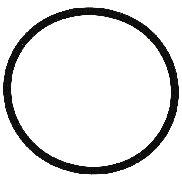 Gasket for caseback  flat *generic*