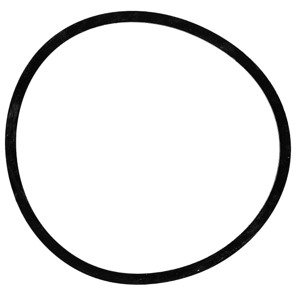 Gasket for caseback  flat *generic*