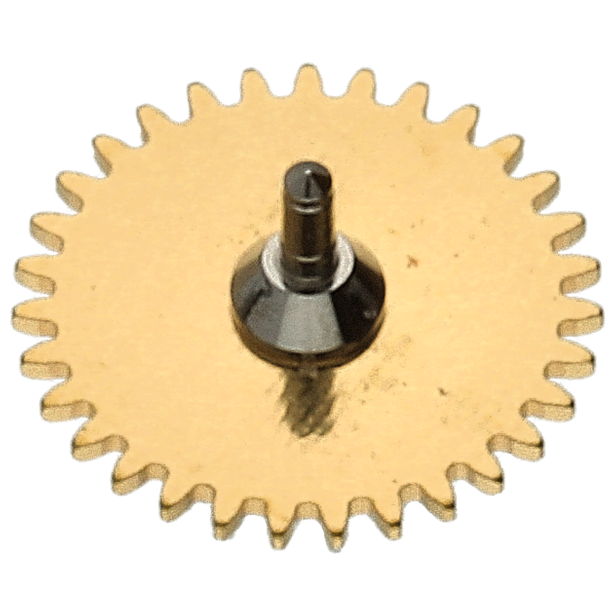 First Due Module Wheel Date indicator driving wheel (Modul)