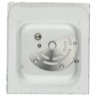 Plate+axle+pins for rivetting ( oscillating weight parts) *generic*