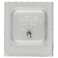 Barrel arbor *generic*