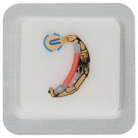 Electronic module - ETA 210.001