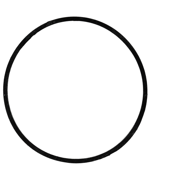Gasket for caseback  flat *generic*