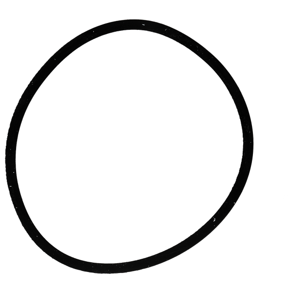 Gasket for caseback  flat *generic*