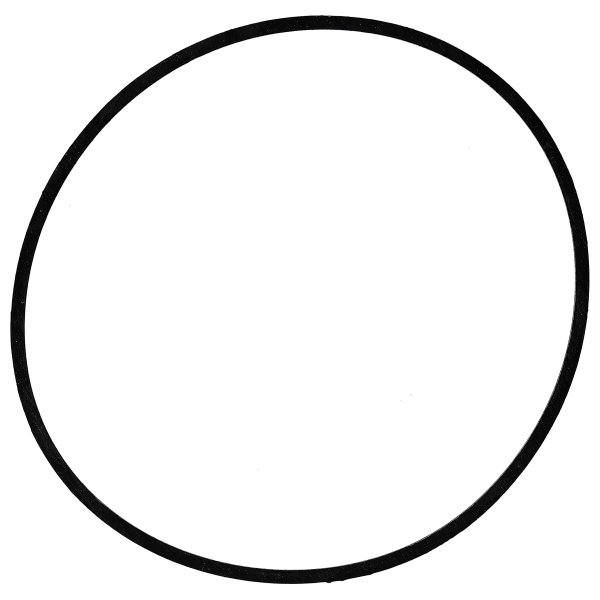 Gasket for caseback  flat *generic*