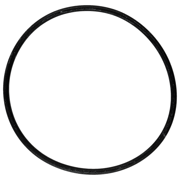 Gasket for caseback  flat *generic*