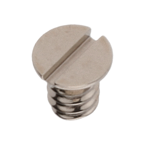 Screw for Indicator maintaning small plate (polished, white, flat, 2892) [900]