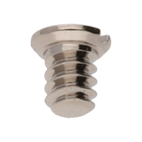 Screw for Indicator maintaning small plate (polished, white, flat, 2892) [900]