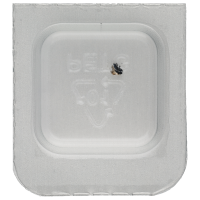 Screw for oscillating weight (polished, blue, round, 7750) [900]