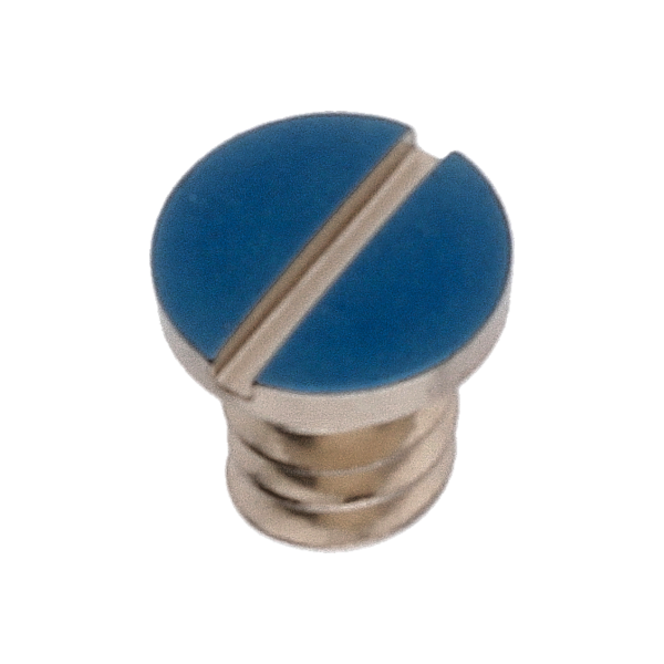 Screw for Date platform (polished, blue, round, 7750) [902]