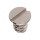 Screw for Indicator maintaning small plate (polished, white, round, 2892) [900]