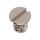 Screw for Indicator maintaning small plate (polished, white, round, 2892) [900]