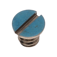 Screw for balance bridge (polished, blue, round, 2824) [901]