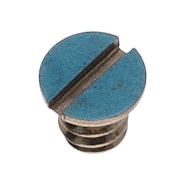 Screw for pallet bridge (polished, blue, round, 2824) [901]