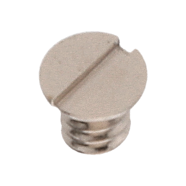 Screw for click plate (polished, white, flat, 2892) [902]