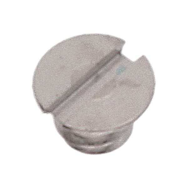 Screw for additional indicator maintaining small plate (standard, white, round, 2892) [904]