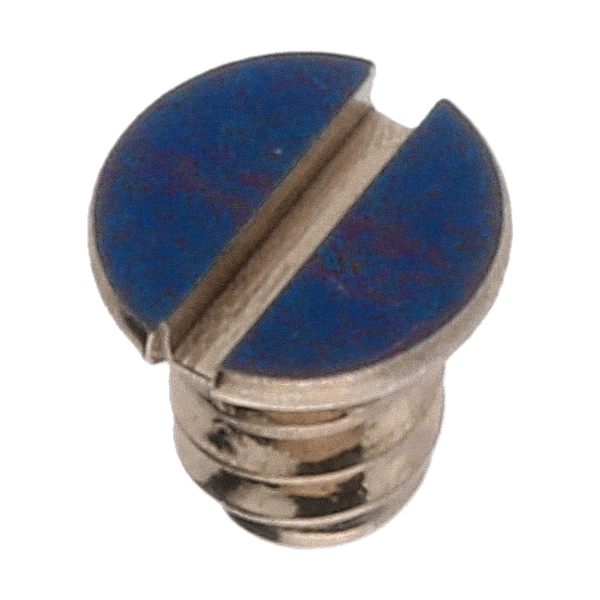 Screw für Minute train bridge (polished, blue, flat, 2892) [900]