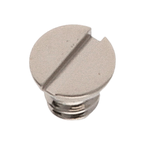 Screw for barrel bridge (polished, white, flat, 2824) [901]